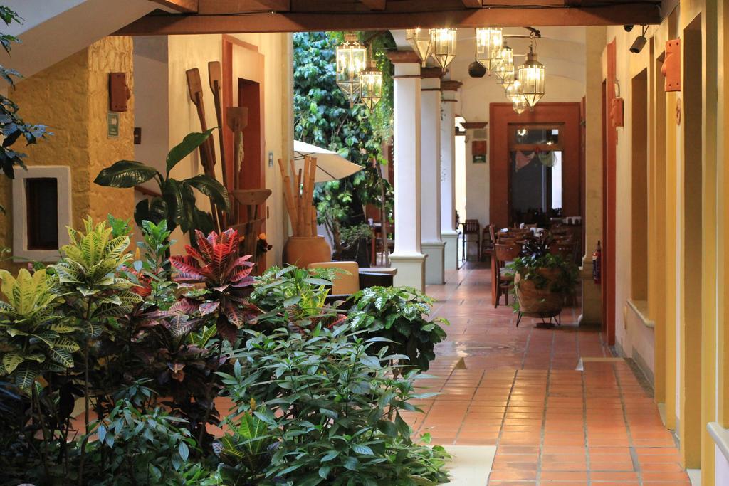 ホテル カーサ ヴェルティス Oaxaca エクステリア 写真